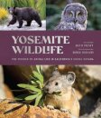 Yosemite Wildlife