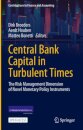 Central Bank Capital in Turbulent Times