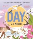 Day and Night