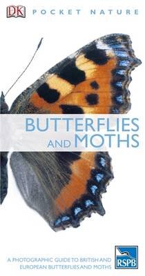 Butterflies And Moths
