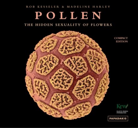 Pollen