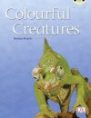 Bug Club Independent Non Fiction Year Two Orange B Colourful Creatures