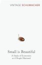 Small Is Beautiful