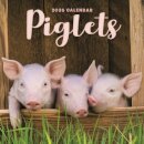 Piglets Square Mini Calendar 2026