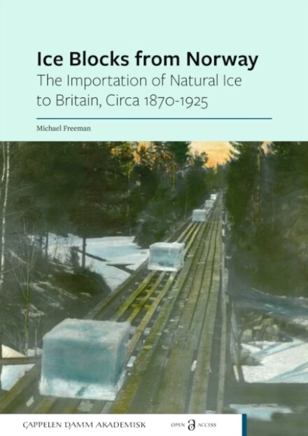Ice Blocks from Norway