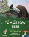 The Tomorrow Tree