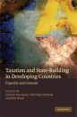 Taxation and State-Building in Developing Countries