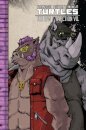 Teenage Mutant Ninja Turtles: The IDW Collection Volume 8