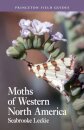 Moths of Western North America