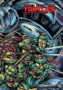 Teenage Mutant Ninja Turtles: The Ultimate Collection, Vol. 7