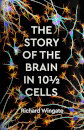 The Story Of The Brain In 10½ Cells