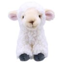 Lamb Soft Toy