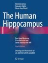 The Human Hippocampus