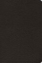 ESV Preaching Bible, Verse-by-Verse Edition