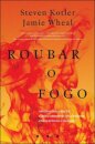 Roubar o Fogo: Como Silicon Valley, os Navy SEAL e Cientistas Independentes Estão a Revolucionar a Maneira de Vivermos e Trabalharmos