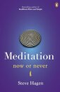 Meditation Now or Never