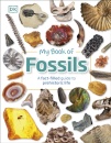 My Book Of Fossils