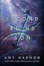 The Second Blind Son