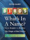 Birds: What's in a Name