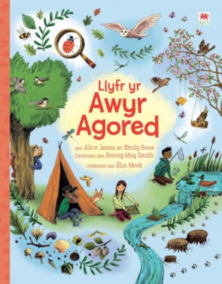 Llyfr yr Awyr Agored