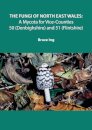 The Fungi of North East Wales