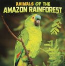 Animals of the Amazon Rainforest