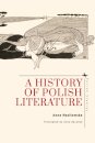 A History of Polish Literature