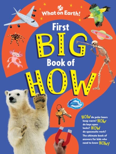 First Book Of How