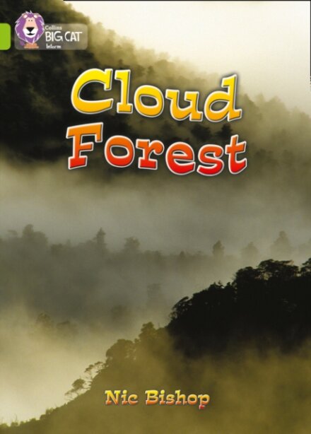 Cloud Forest