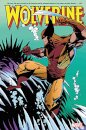 Wolverine Omnibus Vol. 3