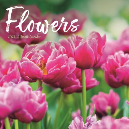 Flowers Square Wall Sunday Start Calenda