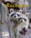 Raccoons