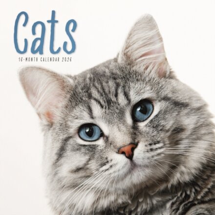 Cats Square Wall Calendar 2026