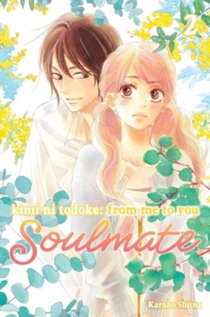 Kimi Ni Todoke: From Me To You: Soulmate Vol. 2