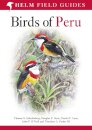 Field Guide to Birds of Peru