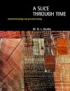 A Slice Through Time