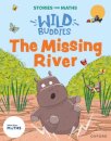 Stories for Maths: EYFS: The Missing River (Explore 3-D shapes)