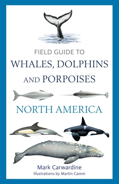 Field Guide to Whales, Dolphins and Porpoises of North America