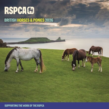 Rspca British Horses Ponies Square Wall