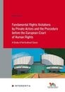Fundamental Rights Violations by Private Actors and the Procedure before the ECHR
