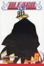 Bleach 06