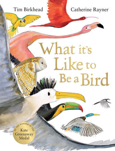 What It'S Like To Be A Bird?