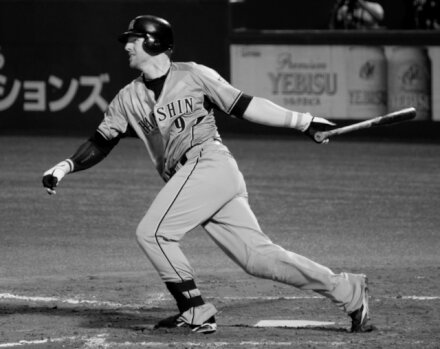 In the Japanese Ballpark