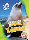 Sea Lions
