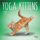 Yoga Kittens 2026 Mini 7x7 Calendar