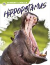 Hippopotamus