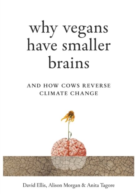 Why Vegans Have Smaller Brains