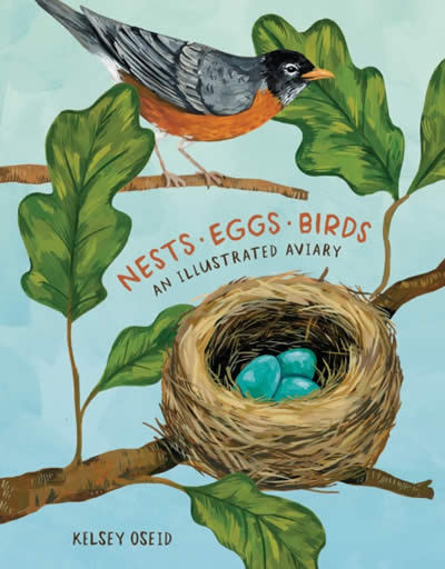 Nests Eggs Birds