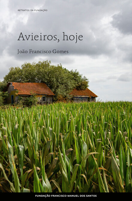 Avieiros, Hoje