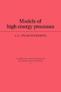 Models of High Energy Processes